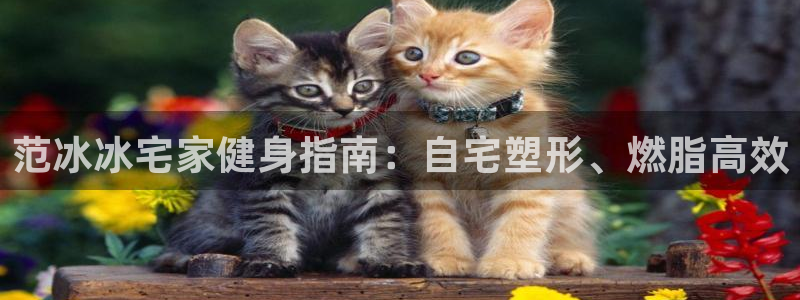 意昂2官网